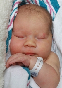 Newborn Penelope