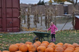 Charlotte is ready to pick a pumpkin